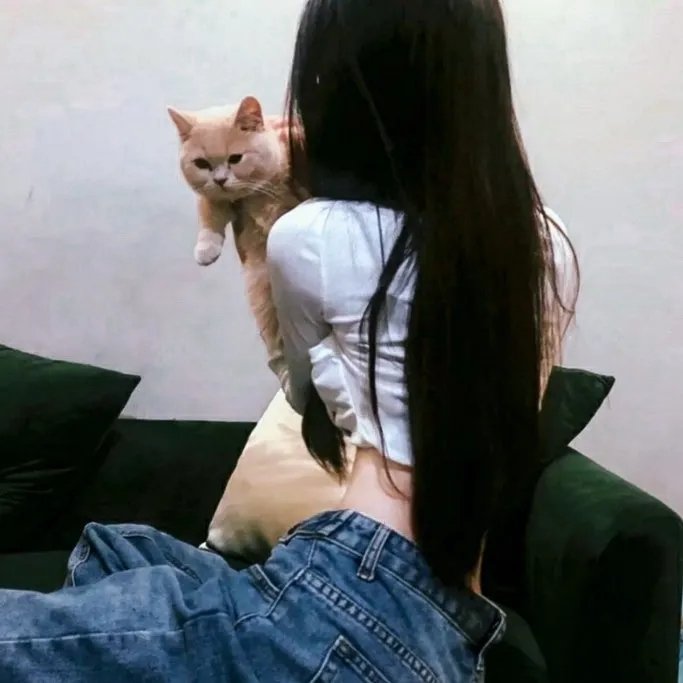 最后一英寸 在线观看