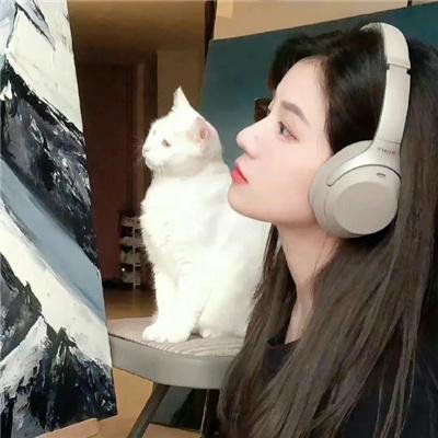 猫狗大战2 在线观看
